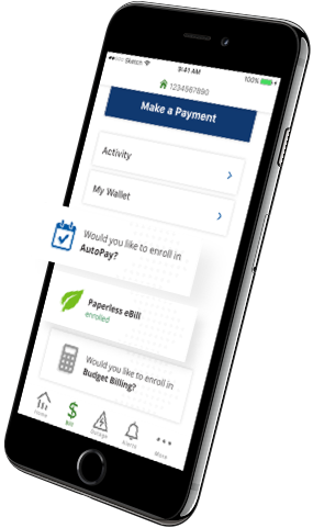 Bill pay screen from the mobile app
