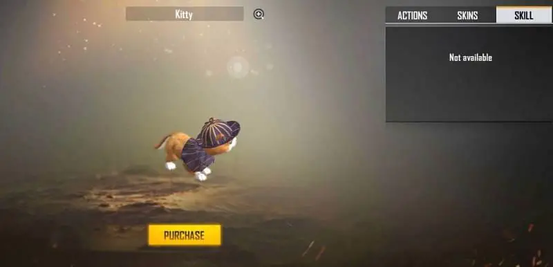 Free Fire kitty
